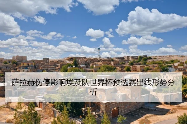 sa-la-he-shang-ting-ying-xiang-ai-ji-dui-shi-jie-bei-yu-xuan-sai-chu-xian-xing-shi-fen-xi-2-700.jpg