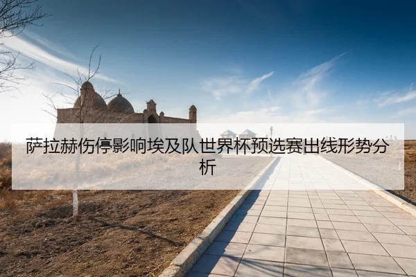 sa-la-he-shang-ting-ying-xiang-ai-ji-dui-shi-jie-bei-yu-xuan-sai-chu-xian-xing-shi-fen-xi-3-393.jpg