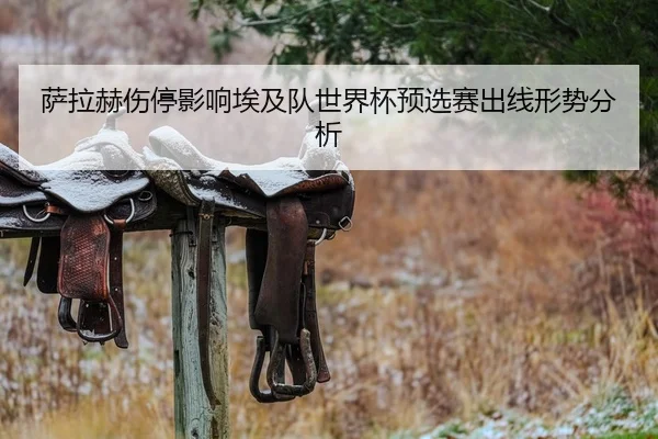 萨拉赫伤停影响埃及队世界杯预选赛出线形势分析