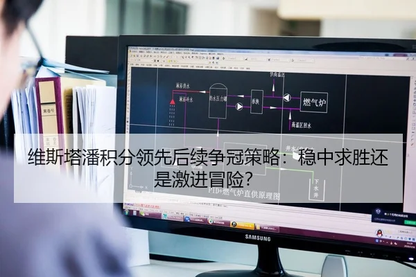 维斯塔潘积分领先后续争冠策略：稳中求胜还是激进冒险？