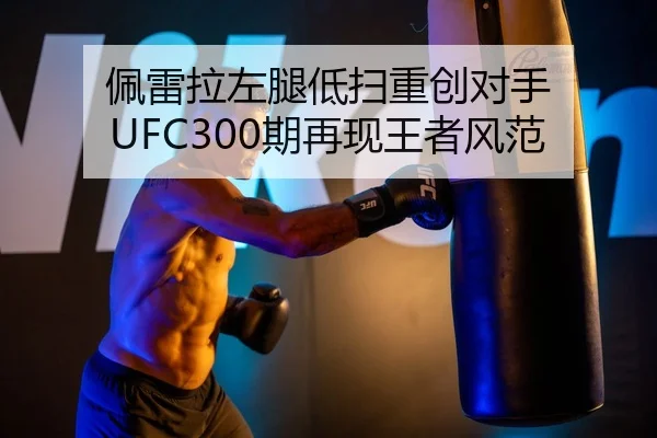 pei-lei-la-zuo-tui-di-sao-zhong-chuang-dui-shou-qi-zai-xian-wang-zhe-feng-fan-2-425.jpg