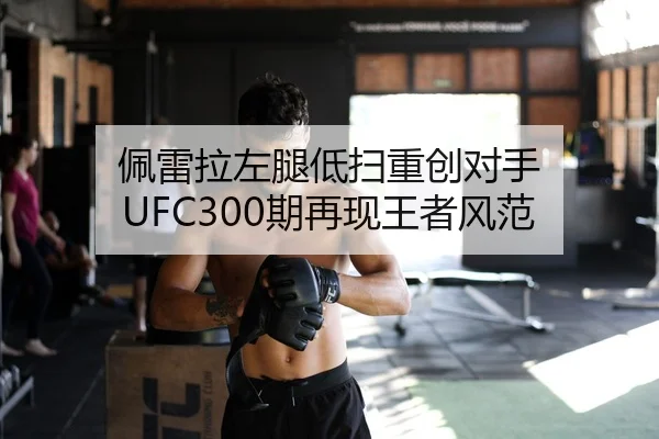 佩雷拉左腿低扫重创对手 UFC300期再现王者风范