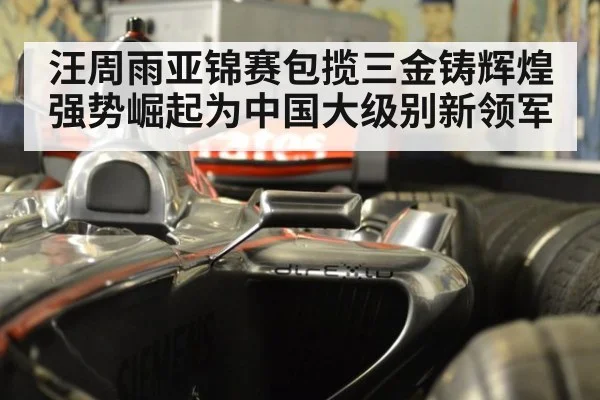 汪周雨亚锦赛包揽三金铸辉煌 强势崛起为中国大级别新领军