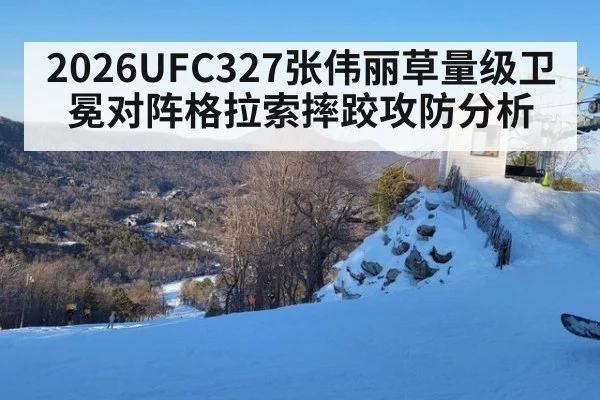 2026UFC327张伟丽草量级卫冕对阵格拉索摔跤攻防分析